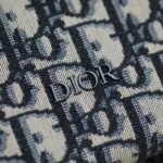 20201014_i1602690131_3362_6 Sac à dos Dior Rider (réplique) - Sac à main réplique premium 1:1