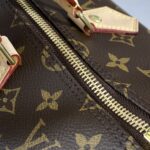 20201020_i1603195358_1203_7.jpg Replica Louis Vuitton Speedy Brown - top-grade luxury bag dupe