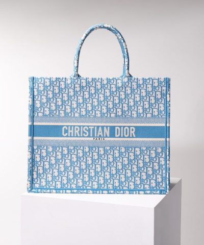 Fake Dior Tote Book Cd Light Blue - elite factory replica handbag