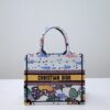 Fake Dior Tote Book Candy Forest - high-quality designer bag dupe