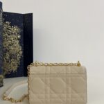 20230626_i1687769221_2067_6.jpg Replik Dior Miss Caro Beige