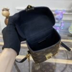 Replica Louis Vuitton Camera Box Brown