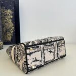 Replica Lady Dior D – Lite Beige Paris