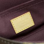 Replica Louis Vuitton Favorite Brown