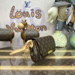 Replica Louis Vuitton Favorite Brown