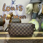 Replica Louis Vuitton Favorite Brown Grid
