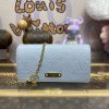Replica Louis Vuitton Wallet On Chain Lily Sky Blue - designer handbag clone