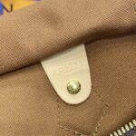 a1708498103401_3787 Replica Louis Vuitton Speedy Brown