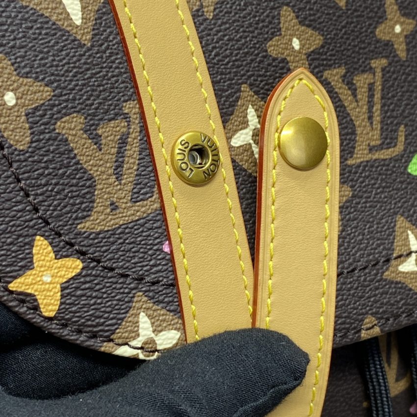 img_1698de7a_20240405_i1712317196_1230_3.jpg Louis Vuitton Christopher Backpack Classic