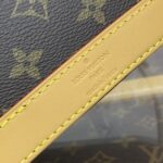 Replica Louis Vuitton Alma Nano