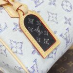 Replica Louis Vuitton Speedy Bandouliere 20 White Grey