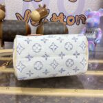 Replica Louis Vuitton Speedy Bandouliere 20 White Grey