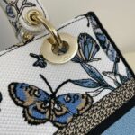 img_d39c4a05_20231126_i1700988409_2222_2.jpg Replica Lady Dior D – Lite Butterfly