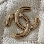 CHANEL 22 Camera Bag White - elite factory replica handbag