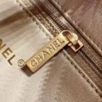 CHANEL 22s Hobo Rhinestone