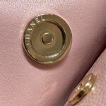 CHANEL 22S Hubo Bag Pink
