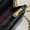 CHANEL Woc Wallet on Chain - best quality fake designer bag