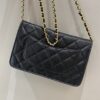 CHANEL Woc Wallet on Chain - designer handbag clone