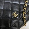 CHANEL Woc Wallet on Chain - elite factory replica handbag