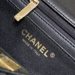 CHANEL CF 20 cm Lion Black