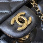 CHANEL Classic Flap 20cm Lion - high-end replica designer purse