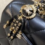 CHANEL CF 20 cm Lion Black