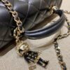 CHANEL CF 20 cm Lion Black - 1:1 premium replica handbag