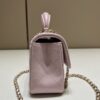 CHANEL CF 20 cm Lion Pink - ultra-realistic fake purse
