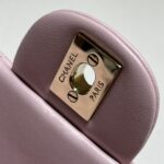 CHANEL CF 20 cm Lion Pink