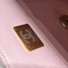 CHANEL CF 20 cm Lion Pink - affordable luxury replica bag