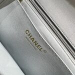 20220820_i1661007903_3842_6.jpg CHANEL CF 20 cm Leijonanharmaa