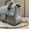 CHANEL CF 20 cm Lion Grey - designer handbag clone