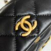 CHANEL Hobo Bag Black - 1:1 premium replica handbag