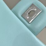 CHANEL Classic Flap 20cm Tiffany - top-grade luxury bag dupe