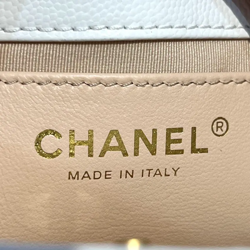20230430_i1682842786_4052_8.jpg Replica CHANEL 23c Hobo Small White