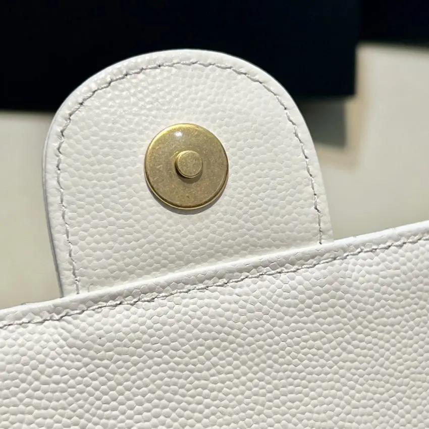 20230430_i1682842786_8060_5.jpg Replica CHANEL 23c Hobo Small White