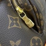 Replica Louis Vuitton Montsouris Brown