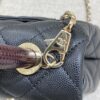 CHANEL 23P Coco Lizard Handle - best quality fake designer bag