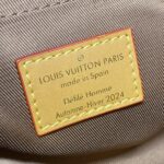 Replica Louis Vuitton Soul Trunk Cross – Body Brown