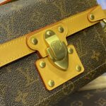 Replica Louis Vuitton Soul Trunk Cross – Body Brown