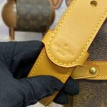Replica Louis Vuitton Soul Trunk Cross – Body Brown