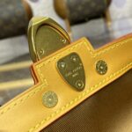 Replica Louis Vuitton Soul Trunk Cross – Body Brown