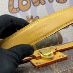 Replica Louis Vuitton Soul Trunk East West Brown - top-grade luxury bag dupe