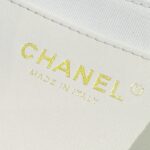 CHANEL 19 Mini Flap White Bag - elite factory replica handbag