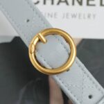 CHANEL 24p Postman Small Light Blue - elite factory replica handbag