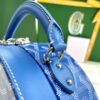 Fake Goyard Alto Box Blue - premium superclone handbag
