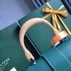 Goyard Sigon Pm Green - elite factory replica handbag