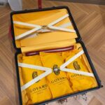 Replica Goyard Bourget Travel Suitcase Red