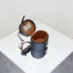 Replica Celine Triomphe Moonlight Box