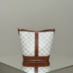 Replica Celine Triomphe Bucket White - premium superclone handbag